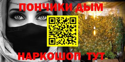 индика Пенза