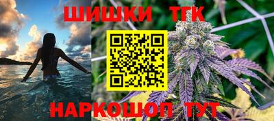 индика Пенза