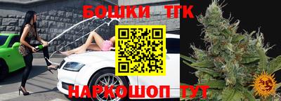 индика Пенза