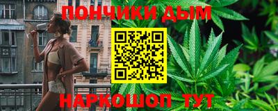 индика Пенза