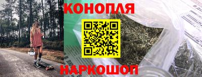индика Пенза