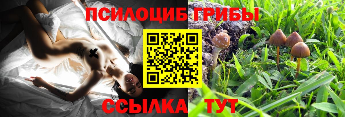купить  сайты  Псилоцибиновые грибы GOLDEN TEACHER  Вход с VPN  Улан-Удэ  Галлюциногенные грибы Magic Shrooms 